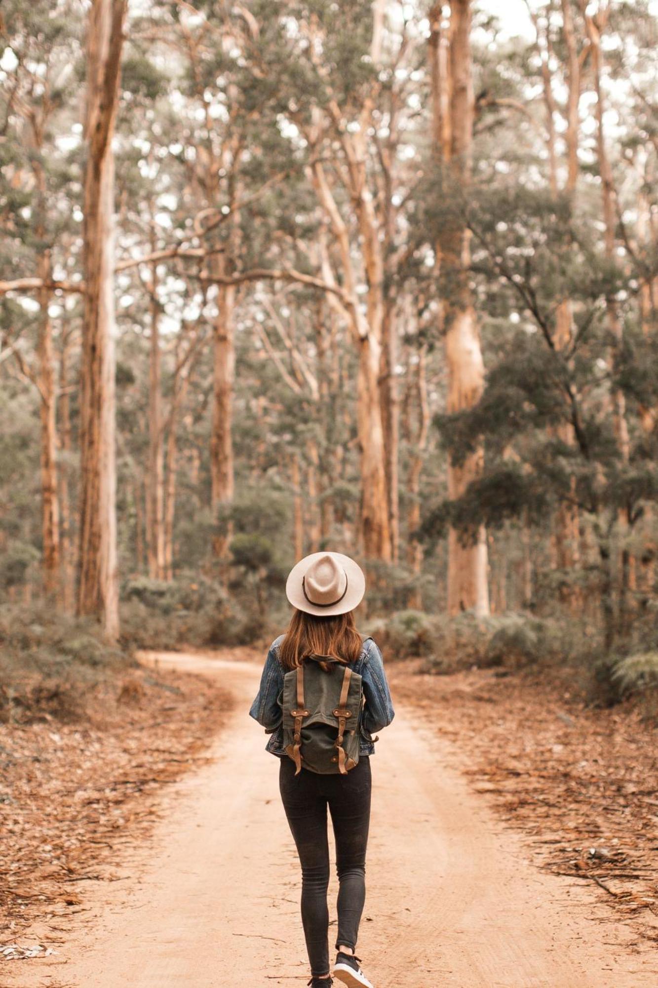 Zoomers Aan Het Bos カストリクム エクステリア 写真